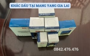 KHẮC DẤU TẠI MANG YANG GIA LAI